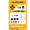 Forte_Tools Medraigčiai FORTE TOOLS, 6×70/42 mm, ZN, TX30, 100 vnt.