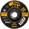 Forte_Tools Žiedlapinis šlifavimo diskas Forte tools, 125x22.23 mm