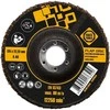 Forte_Tools Žiedlapinis šlifavimo diskas Forte tools, 125x22.23 mm