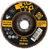 Forte_Tools Žiedlapinis šlifavimo diskas Forte tools, 125x22.23 mm