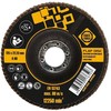 Forte_Tools Žiedlapinis šlifavimo diskas Forte tools, 125x22.23 mm