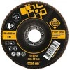 Forte_Tools Žiedlapinis šlifavimo diskas Forte tools, 125x22.23 mm