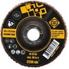 Forte_Tools Žiedlapinis šlifavimo diskas Forte tools, 125x22.23 mm