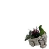 Garden Center Garden_Cente Dekoratyvinis vazonas "Nykštukas", 15.5 cm x 26 cm x 27 cm