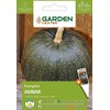 Garden Center Garden_Cente Didžiųjų moliūgų sėklos Sodo centras Ambra