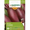 Garden_Cente Sėklos Garden Center, burokėliai Cylindra