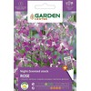 Garden_Cente Sėklos Garden Center leukonijos Rose, 1 g