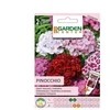 Garden Center Garden_Cente Šiurpinių gvazdikų PINOCCHIO sėklos