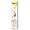 Triton GIMCAT ENERGIJOS PASTA 50g
