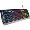 Klaviatūra žaidimams GENESIS RHOD 300 RGB PT su pašvietimu Žaidimams