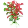 Happet Dirbtinis augalas 10 cm