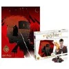 Winning Moves Harry Potter - Dėlionė 1000 detalių dekoratyvinėje dėžutėje (Slaptasis horokruksas)
