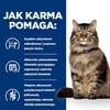 Sausas Kačių Maistas - Hill's PD 1,5 Kg