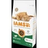 IAMS Adult Cat (ėriena) 10kg