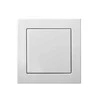 Liregus 100W LED šviesos stiprumo impulsinis reguliatorius EPSILON, be rėmelio, baltas