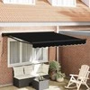 Ištraukiama markizė Juoda 350x250 cm audinys 3330337