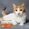 JM SANTE Multiway Vet Duocaps Kidneys - atsukamos kapsulės šunims ir katėms nuo inkstų – 60 vnt.