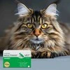 JM SANTE Multiway Vet Duocaps - atsukamos kapsulės šunų ir kačių kailiui ir odai – 60 vnt.