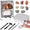Dėlionė Jokomisiada Archaeology Kit Dig Up a Surprise Fossilized Leaves and Bones ZA5753