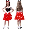 Jokomisiada Mielas Minnie Mouse kostiumas mergaitėms LXL ZA5280