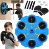 Jokomisiada Musical Light-Up Boxing Training Board for Kids SP0859