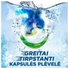 KAPSULSKALARIEL MOUNTAIN SPRING 44VNT