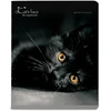 Kaustik Bruno Visconti A5/48L Cats.Face 2 5x5ruut