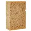 Kempinė 20x13x7 cm Koch Chemie