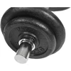 Best Sporting Ketaus hantelis 10 kg, 30 mm