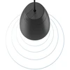 Kompiuterio kolonėlės ADC AUDAC ALTI6 2 krypčių Juoda Vielinis 60 W