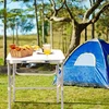 MultiGarden Turistinis stalas sulankstomas stovyklavimo stalas baltas viršus 120 x 60 cm