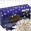 Lauko šviestuvai 100LED 4m Izoxis 26858