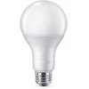 LED lemputė STANDART, A80, E27, 23 W, 2500 lm, 3000 K