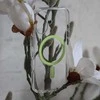 Liavec Pure dėklas skirtas Apple iPhone 17 žalios spalvos