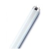 Osram 36W lempa LUMILUX T8, G13, 3000K, 1213,6mm
