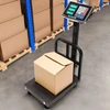 Longwell Industrial Tiksliai sveriančios elektroninės svarstyklės