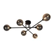 Lubinis šviestuvas Carruzzo CEILING LIGHT BORA 6XG9 Juodas/SMOKY