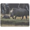 Kilimėlis Manhattan Mouse pad, Polypropylene, with various pictures of National Geographic Collection, 423373