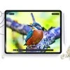 Matte Apsauginė plėvelė Apple iPad 10.9” 10 / 2022 / 11” 11 / 2025 Hofi Paper Pro+ 2-pack Matte Clear
