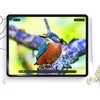Matte apsauginė plėvelė Apple iPad Air 11.0 (6GEN) Hofi Paper Pro+ 2-pack