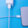 Maxlife MXUC-06 laidas USB-C – USB-C 1,0 m 20W mėlynas nailoninis