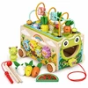 Medinis 8-in-1 varlės formos lavinamasis kubas su vaikštyne, formų rūšiuokliu, ksilofonu ir kirmėlių žvejyba ECOTOYS