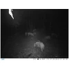 Medžioklės kamera PNI Hunting 400C 12MP su 4G LTE internetu, GPS, vaizdo ir nuotraukų siuntimu į telefoną, 4 el. pašto adresus, FTP, Full HD 1080P, naktiniu matymu, 57 nematomais šviesos diodais gyvūnams