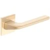 Metal_Bud Durų rankena, vidaus K FIT Brushed Gold DIVA K FIT, aukso