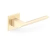 Metal_Bud Durų rankena, vidaus K FIT Brushed Gold QUANTA K FIT, aukso