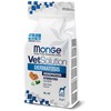 Monge VetSolution Dog Dermatosis 12kg