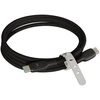 Motorola Silicone cable SC18D13215 USB-C to USB-C 1m, 5A Juodas BULK
