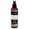 Aromika Namų kvapas Acappella Gingerbread, 0.2 l