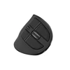 NATEC EUPHONIE PRO pelė Universal dešinei rankai Bluetooth Optinė 2400DPI