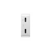 Native Union kišeninis GaN kroviklis PD 65W (2x USB-C), baltas